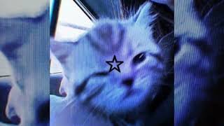 Download lagu Best friend - Rex Orange County (edit audio) mp3 Download lagu Best friend - Rex Orange County (edit audio) mp3