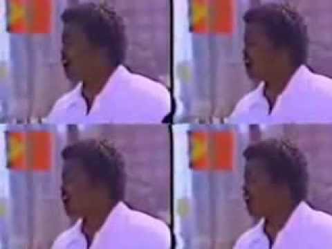 TODDY TEE - JUST SAY NO