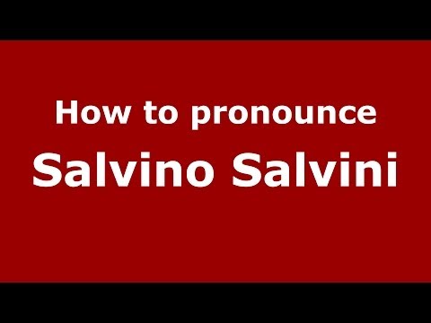 How to pronounce Salvino Salvini (Italian/Italy) - PronounceNames.com