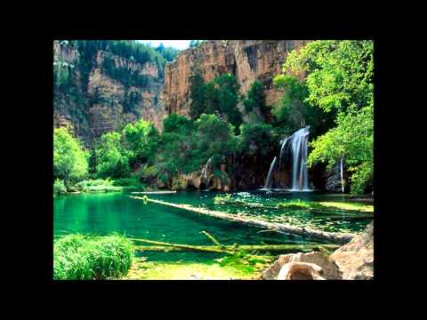 Nature Sounds:Summer Creek - Bird song - Gentle Water Flowing - No Music