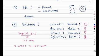 Various shapes and size of cells#differentshapesandsized of cells#11ncert#largest cell#smallest cell