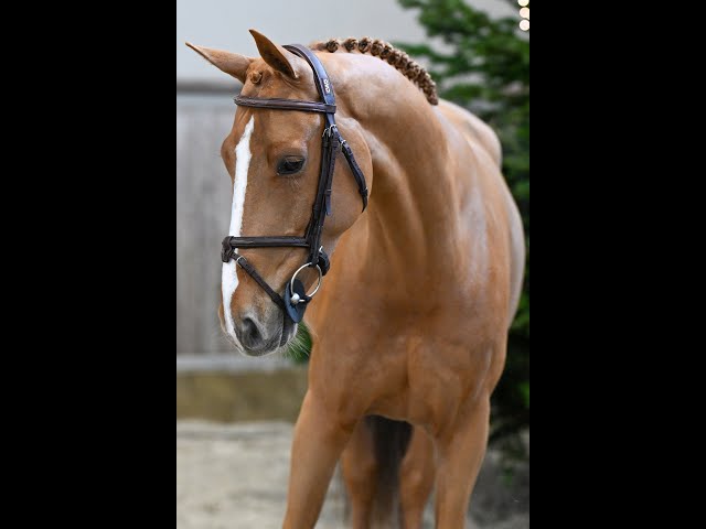 For Friendship PS Z walk & 360