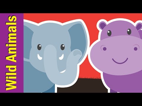 Learn Wild Animals for Kids | Video Flashcards | Kindergarten, Preschool, ESL | Fun Kids English