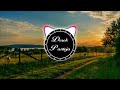 Janina - Terranova (Pandera AirPlay edit) [Bass Boosted]