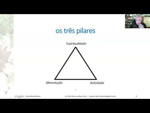 Webinar "3 Pilares do Bem-Estar"