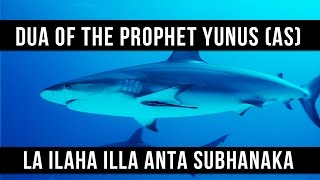La ilaha illa Anta Subhanaka - Dua Of The Prophet 