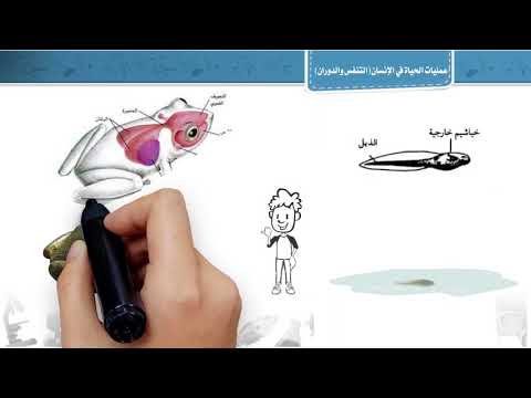 فيديو تعليمي