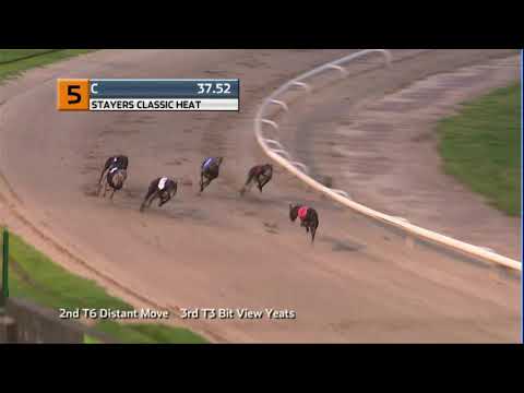 2020 LADBROKES STAYERS CLASSIC - HEAT 2 - T5 WALTHAM MAGIC