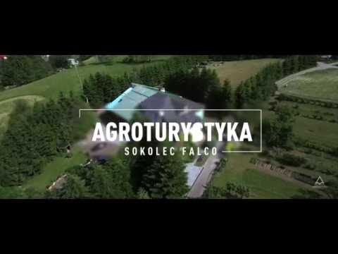 Agroturystyka Sokolec Falco