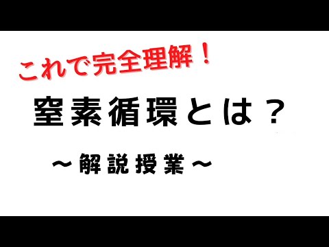 窒素循環 - 定義