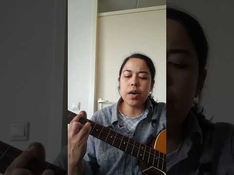 Cover gitaar opwekking 865 - Hier zijn