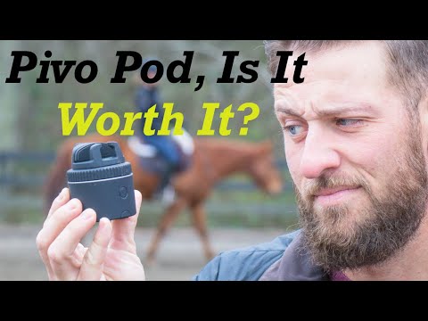 Pivo Pod for Horses, Does it Work?