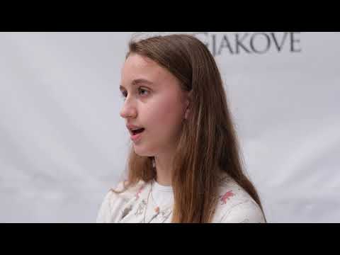 Cilat ishin sfidat e mësimit online?