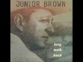 Stupid Blues - Junior Brown