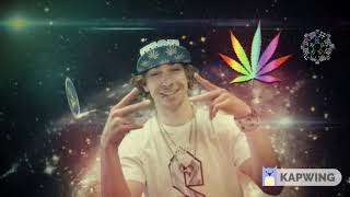 polyphia look but dont touch in reverse