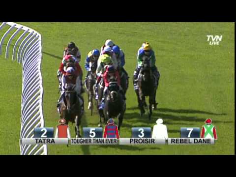 2013 Hyland Race Colours Royal Randwick Guineas -  Its A Dundeel