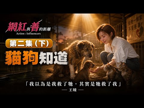 凱薩琳-網紅與善的距離 - 第2集《貓狗知道》投票區