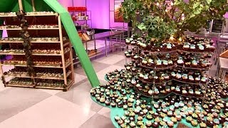 Girl Scouts 100th Birthday