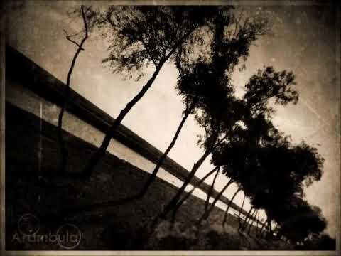 para ti mi amor - invasores de nuevo leon letra