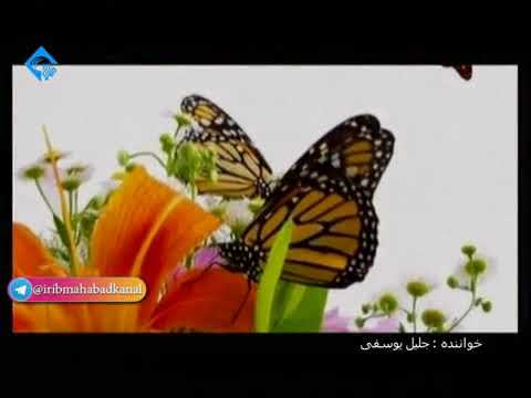 گورانی :  کانی مرادان