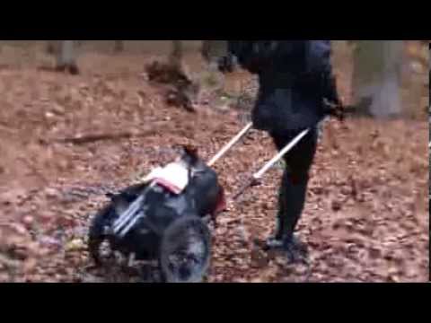 Benpacker Running flat