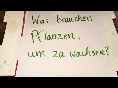 1. Stunde Sachunterricht