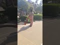Photo Ke Liye Jagah Dhundh Rahi Shortvideo