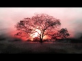 Donovan Woods - Put On Cologne | free 