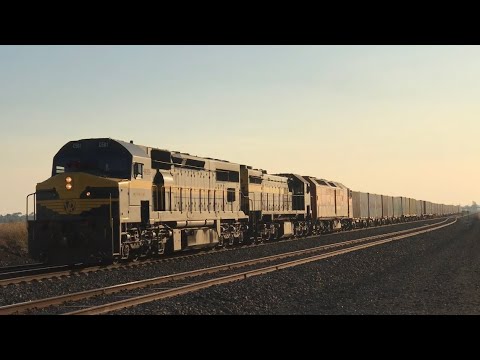 C501 X31 - Dooen Goods Service