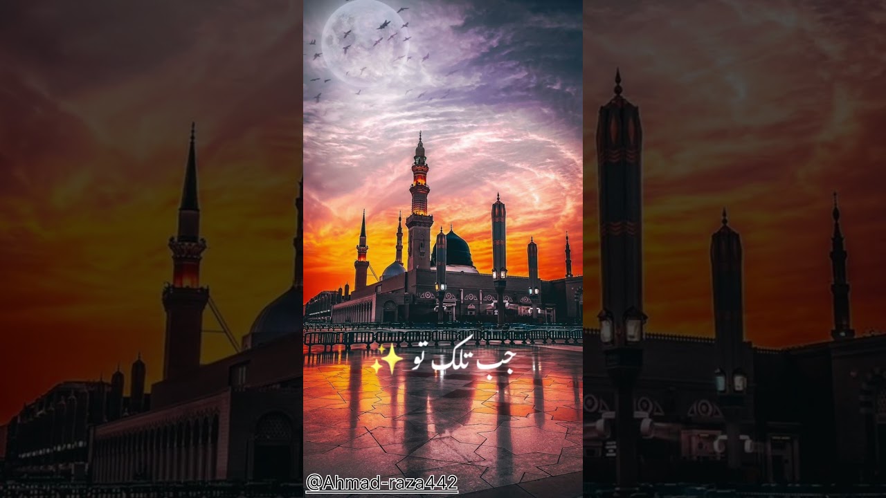 #fatima #love #iran #allah #imamhussain #1million #islamicnaat #yaabbas #yaabbas #mustafamustafa