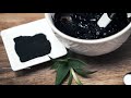 Black Oxygen Organics 12 Benefits