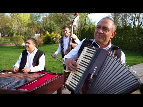 Taraful din Teleorman si Marian Sandu - Live 100%