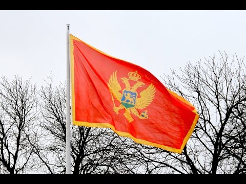 Nationalhymne Montenegro 18.03.2019 Schloss Bellevue