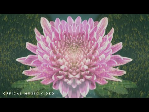 Solanca - In Bloom (Official Music Video) [4K]