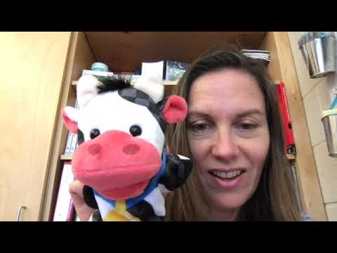 PK Animals & Transportation - Lesson 19