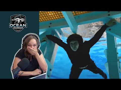 Sieht doch gar nicht schlecht aus ODER? - Ocean Warrior Folge 4 - Sabrina reagiert