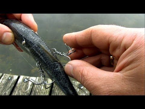 Can pike see hooks p.2? Fishing test, attacks. Видит ли щука крючки ч.2? Рыбалка, атаки.