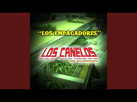 Carta a Esther (En Vivo)