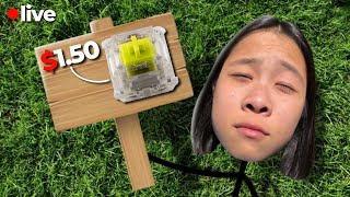 Let's talk switches
