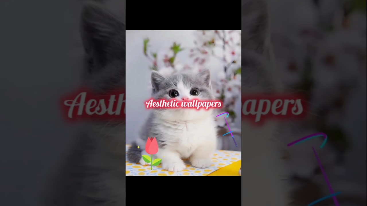 Aesthetic✨wallpapers 🎀|take screenshot|subscribe 💞 #beautiful #art #aesthetic #wallpaper #lovely