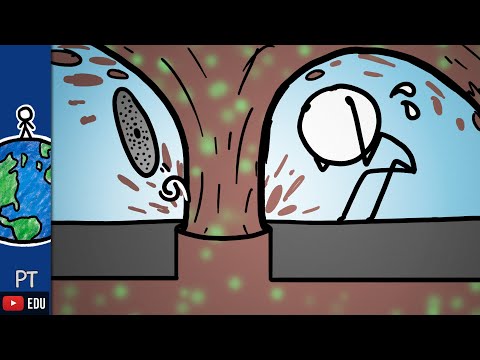 Por que o esgoto dessas cidades está transbordando? | Minuto da Terra