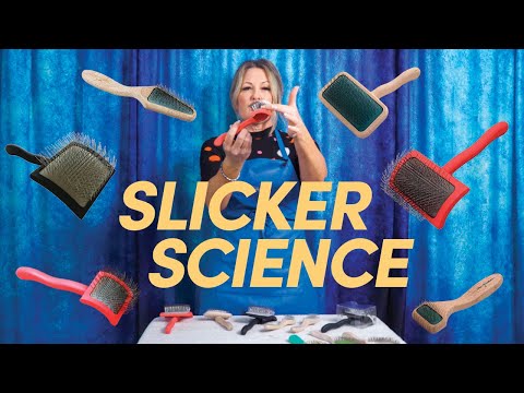 How To Chose The Right Slicker Brush | Dog Grooming &...