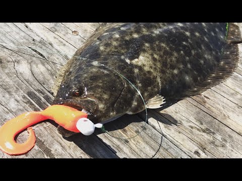 Fishing With a Famous Lure! (Salmon Gulp!)