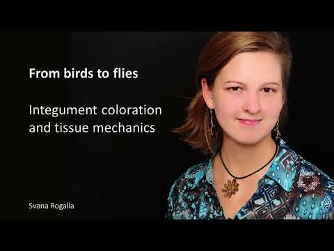 My research in 30 seconds - Svana Rogalla (for GYSS 2023)