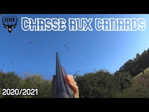 CHASSE AUX CANARDS | OUVERTURE 2020