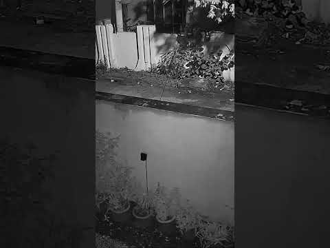 Gulistan Colony Lane 7A Rawalpindi patrol Chor Group