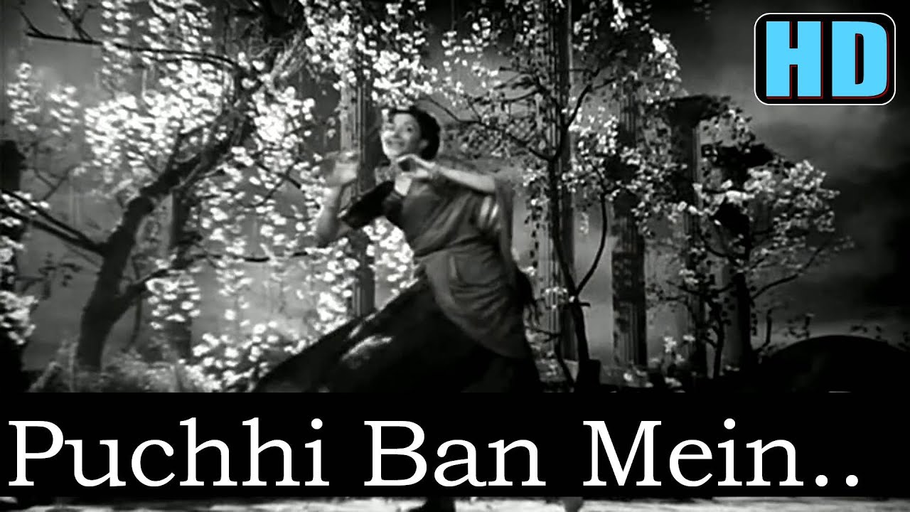 Panchhi Ban Mein Lyrics  | Babul | Dilip Kumar, Munawar Sultana | Lata Mangeshkar | Naushad Ali