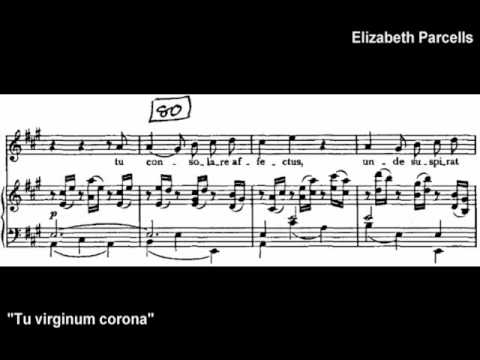 Mozart Exsultate, Jubilate Part 2--Elizabeth Parcells