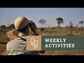 Weekly Activities Update Bushwise