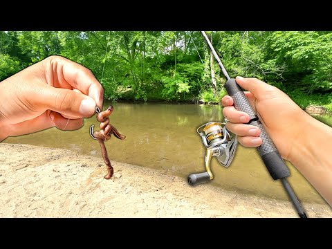 Fishing the CREEK w/ Live WORMS for Anything That Bites!